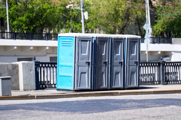 Best Luxury portable toilet rental  in Stanton, MI