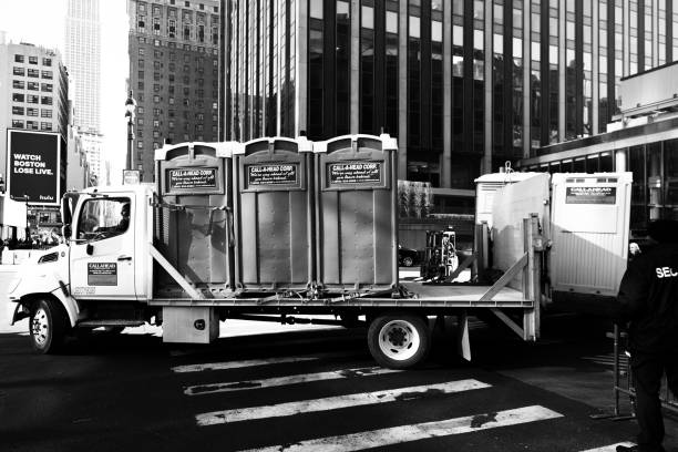 Best Portable bathroom rental  in Stanton, MI