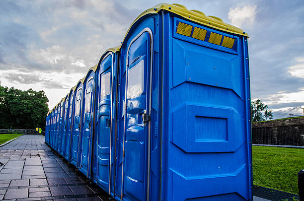 Best Sanitation services for porta potties  in Stanton, MI